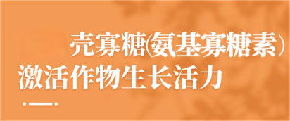 农业级壳寡糖氨基寡糖素母液